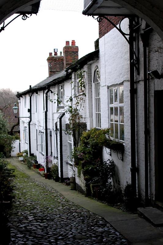 Ally in Knutsford, Cheshire