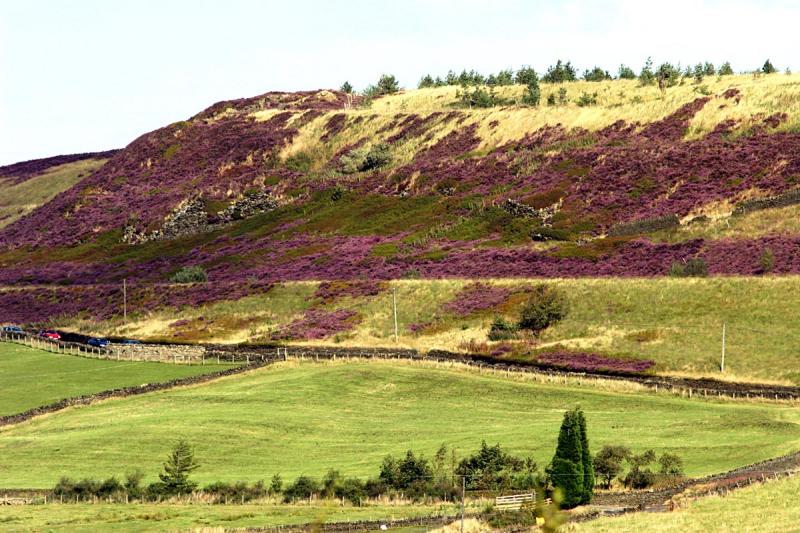 Countryside