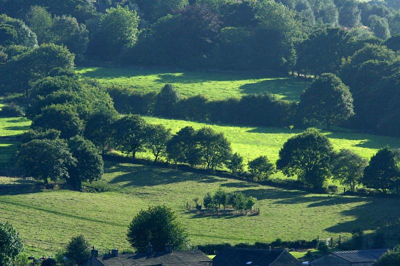 Sun, shadow, grass