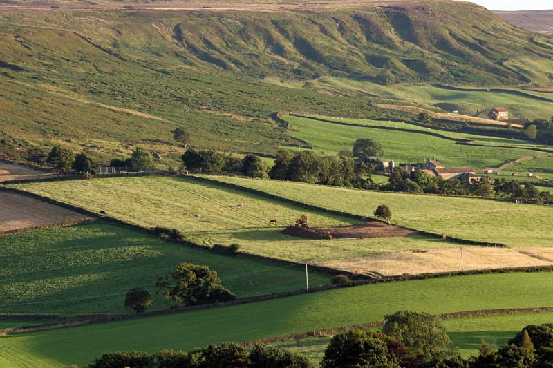 Fields in the hills