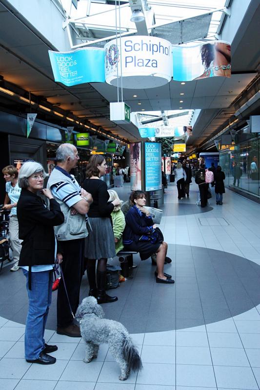 Is Schiphol decorated in KLM blue?