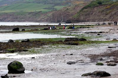 The coast at Robin Hood's Bay