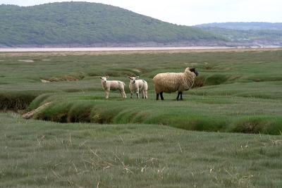 The Lake District