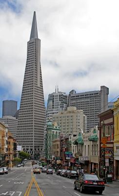 19 July - the Transamerica tower