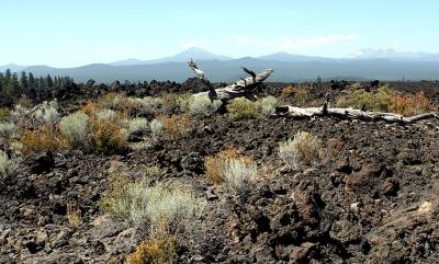 13 August - Bend, Or (Lava fields)