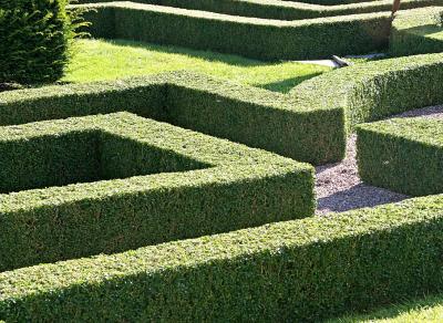 A small maze