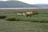 The Lake District