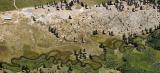 Meandering river