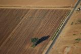 Fields near Bakersfield