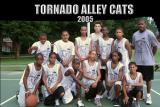 Tornado Alley Cats 2005 115x.JPG