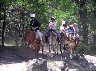 Horseback riders