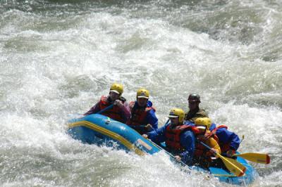 Ned's Gulch Rapid