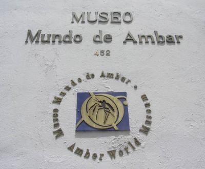 Amber Museum