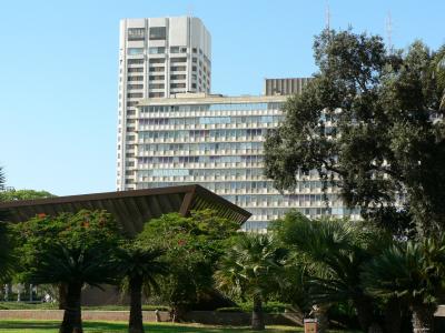 P1020044.JPG