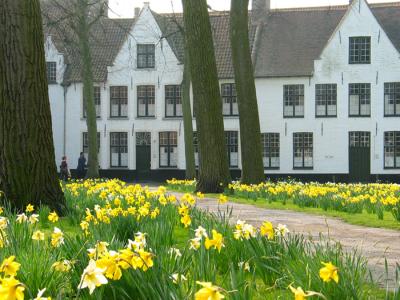 Architectuur