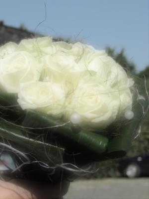 IMG_0013C.jpg