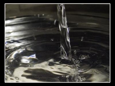 CRW_0037.jpg