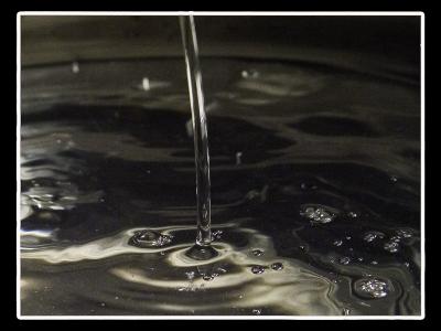 CRW_0051.jpg