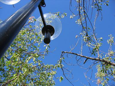 Lamp Pole