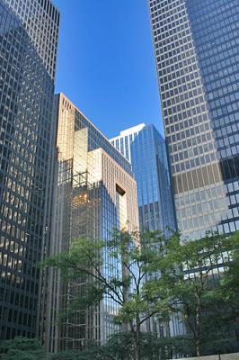 v3/81/575581/3/51697497.IMG3911tor.jpg