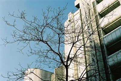 Shibuya