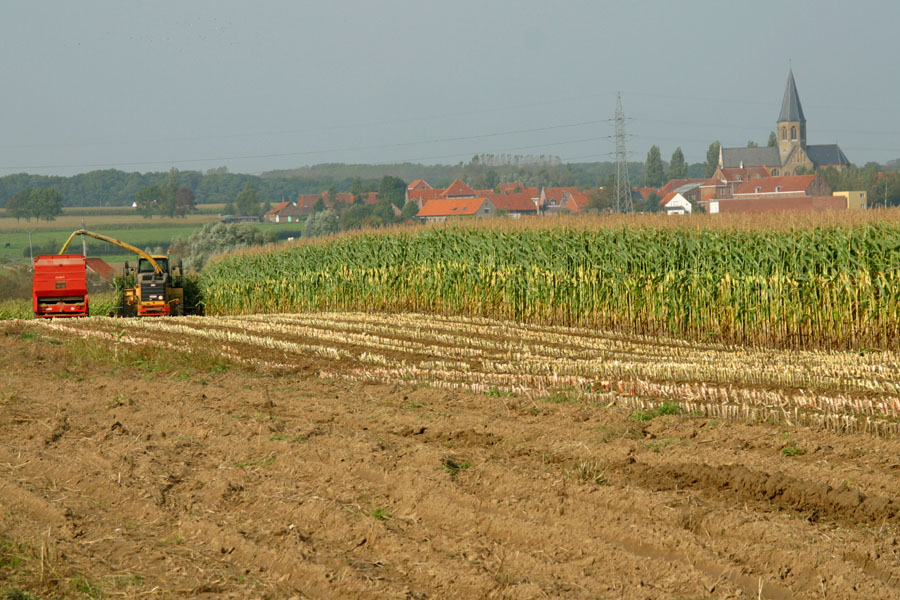Flanders Fields