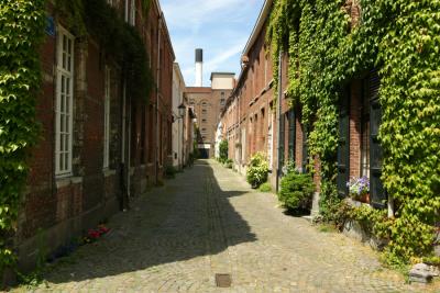 IMG_8907.JPG