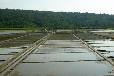 Salt Pans