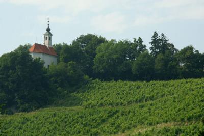 Maribor - Vineyard with St Barbara Chapel