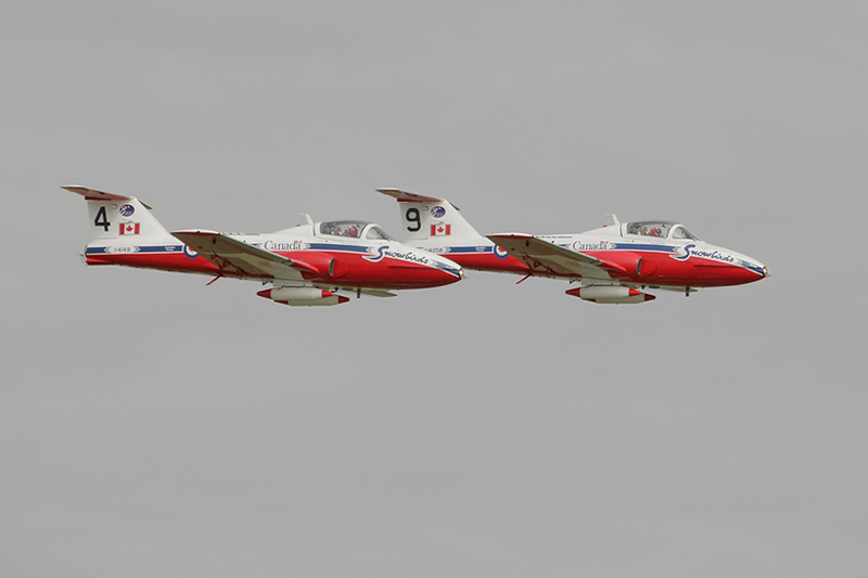_MG_3707-web.jpg