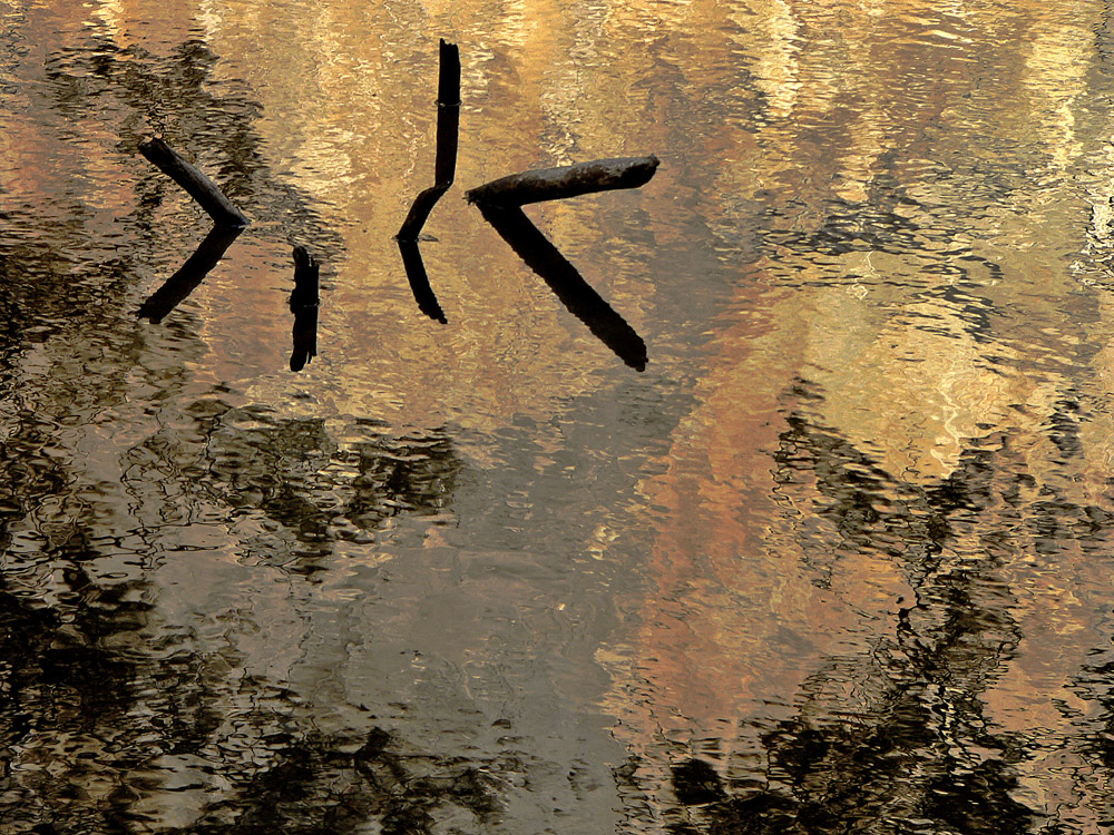 Merced Abstract Revisited, Yosemite National Park, California, 2004