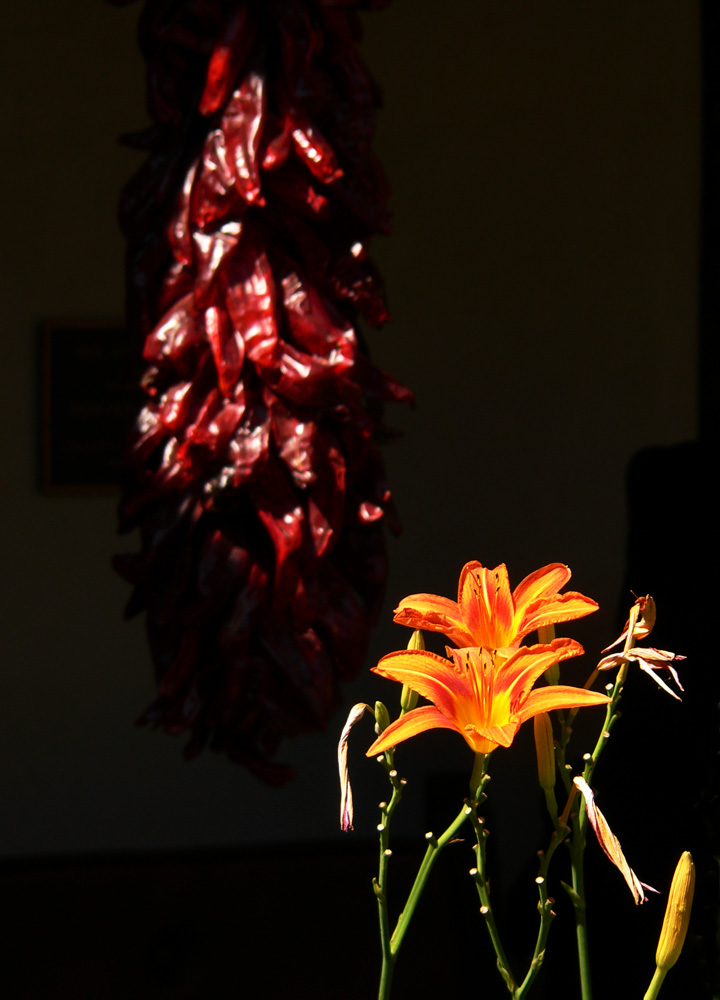 Chili Ristra and Lilliums, Santa Fe, New Mexico, 2005