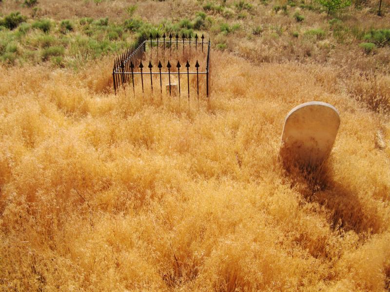 Graves in the weeds, Fairview Cemetery, Santa Fe, New Mexico, 2005