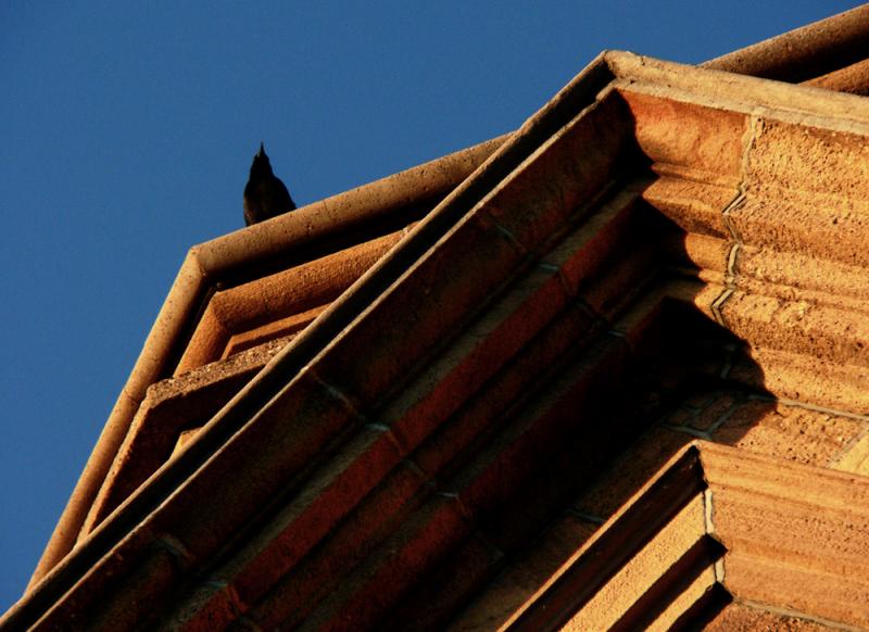 Call of the crow, St. Francis Cathedral, Santa Fe, New Mexico, 2005