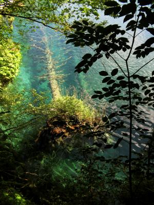 Transition, Plitvice Lakes National Park, Croatia, 2005