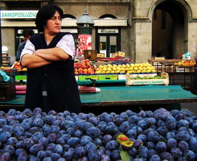 Plum Stand,  Dolac Market,  Zagreb, Croatia, 2005