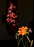 Chili Ristra and Lilliums, Santa Fe, New Mexico, 2005