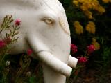 Flower Forest, Santa Fe, New Mexico, 2005