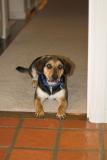 IMG_1734-01.jpg