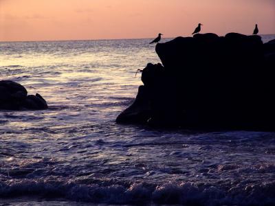 Praia do Cachorro