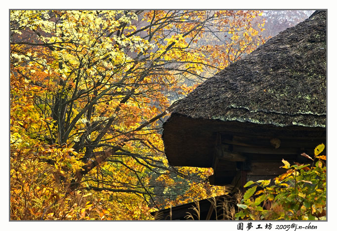 DSC_2025.jpg