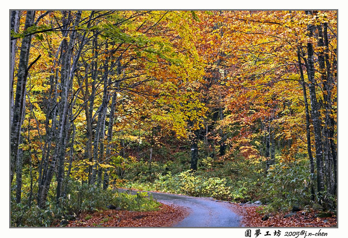 DSC_2030.jpg