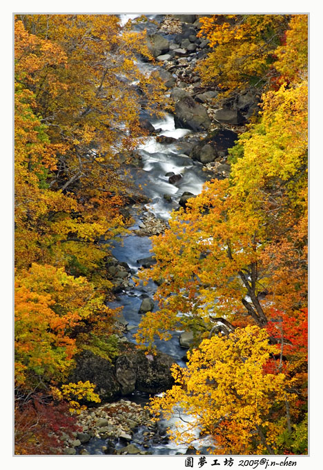 DSC_2081.jpg