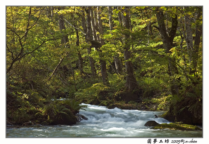 DSC_2157.jpg