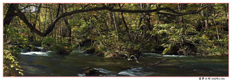 DSC_215860.jpg