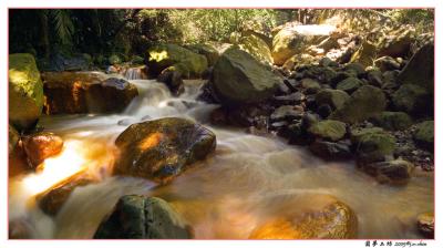 CRW_140204.jpg