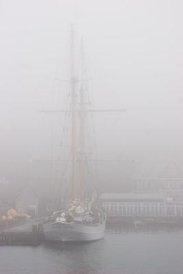 Fog, leaving from Woods Hole to MVY