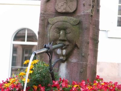 v3/82/378882/3/46523758.Nuovacartellagermany2aPICT0025.jpg