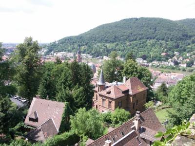 v3/82/378882/3/46523869.Nuovacartellagermany2aPICT0169.jpg