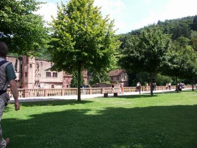v3/82/378882/3/46523884.Nuovacartellagermany2aPICT0184.jpg
